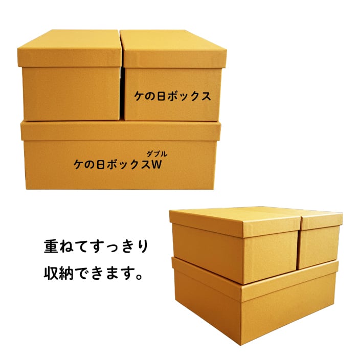 Kenohi Box W（ケの日ボックス ダブル）写真収納ボックス お道具箱 お