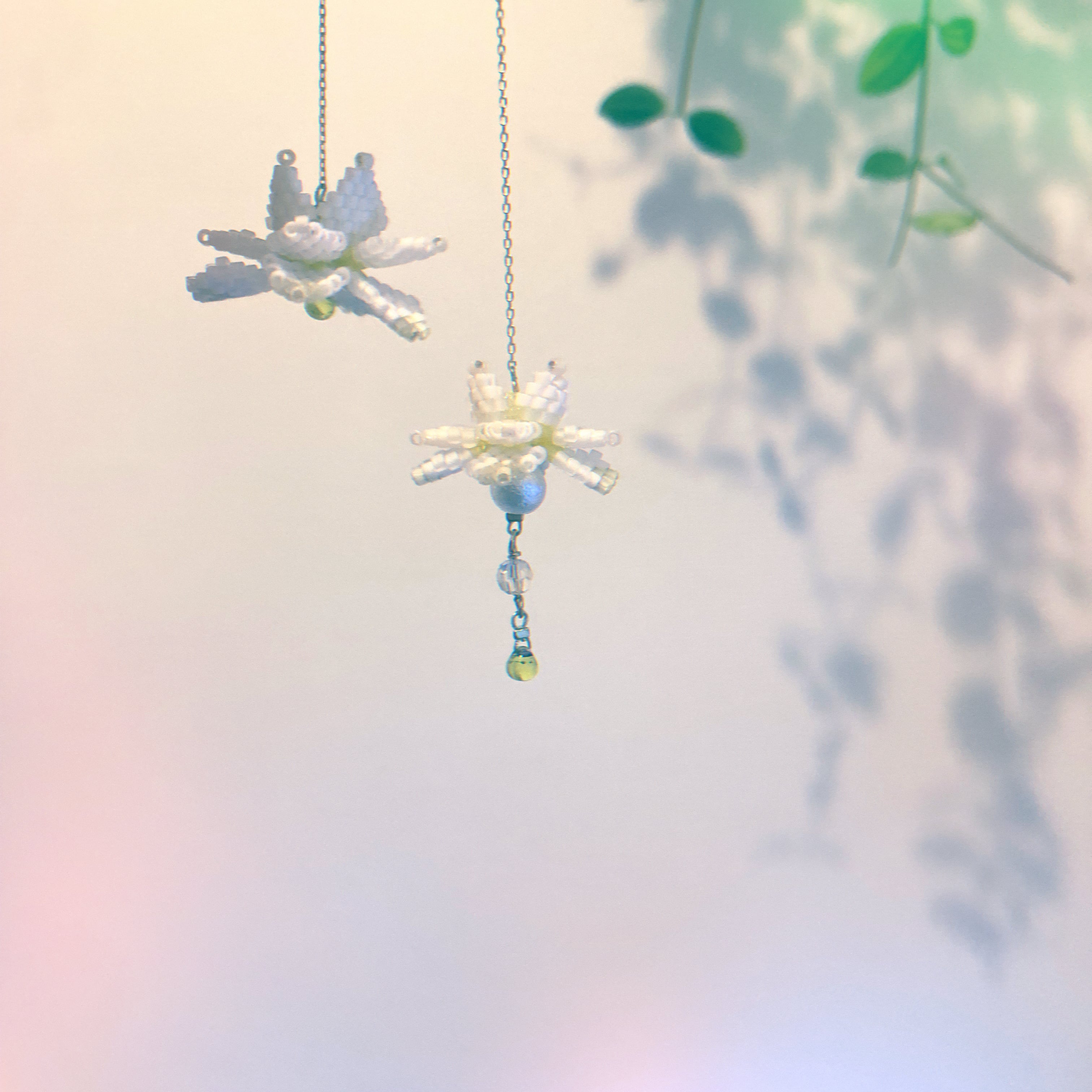 【立秋】蓮 -White Lotus-