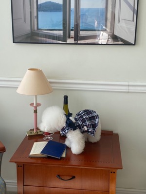 即納【Hi Yeboo】The Fall Dress ネイビー