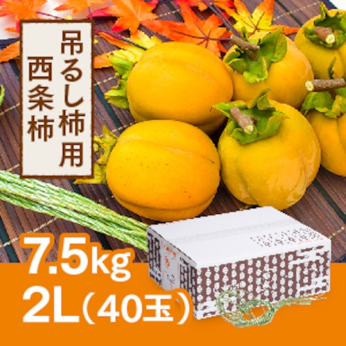 吊るし柿用西条柿 2L 40玉（7.5ｋｇ） 吊るし紐付き【2023年11月以降発送開始】