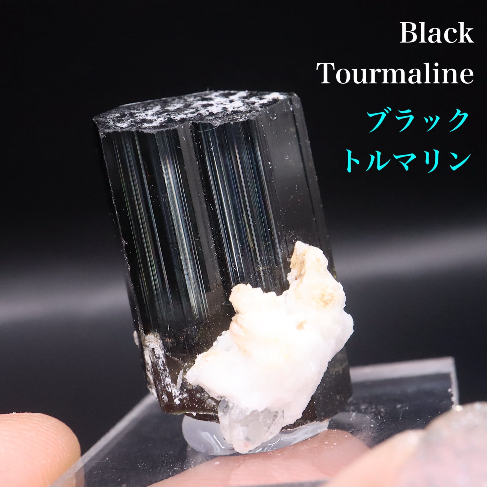 ショール/ブラックトルマリン 結晶 電気石 T819 鉱物 天然石 原石