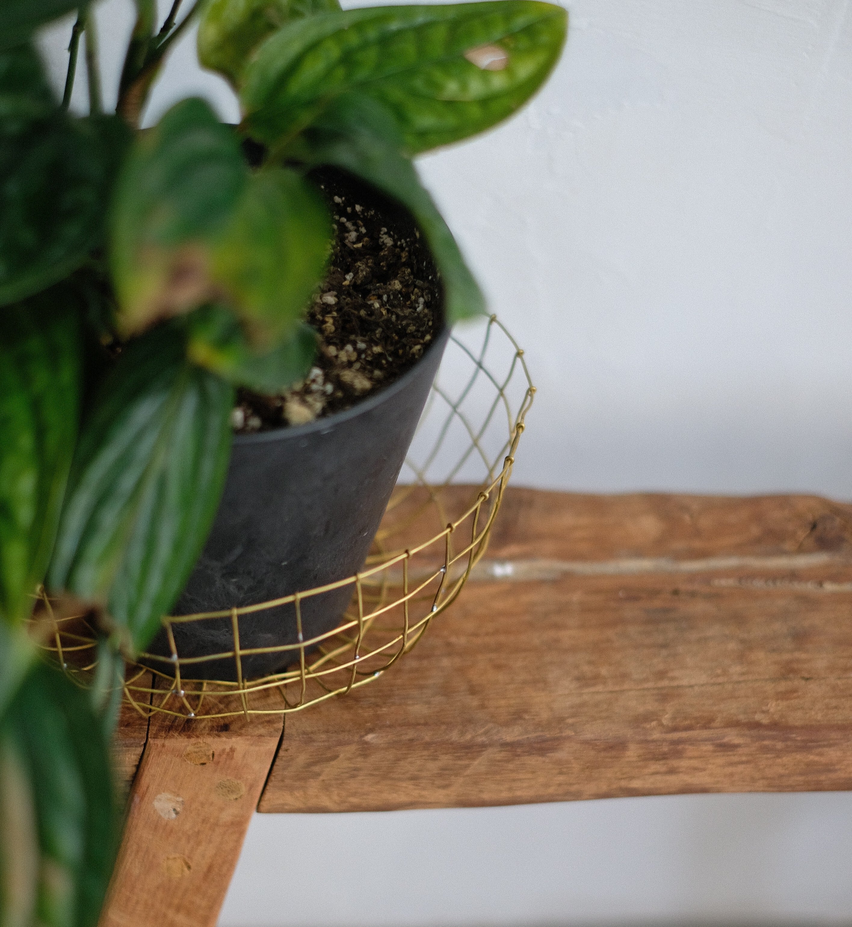 Brass Thin Basket (S) | WEST VILLAGE TOKYO