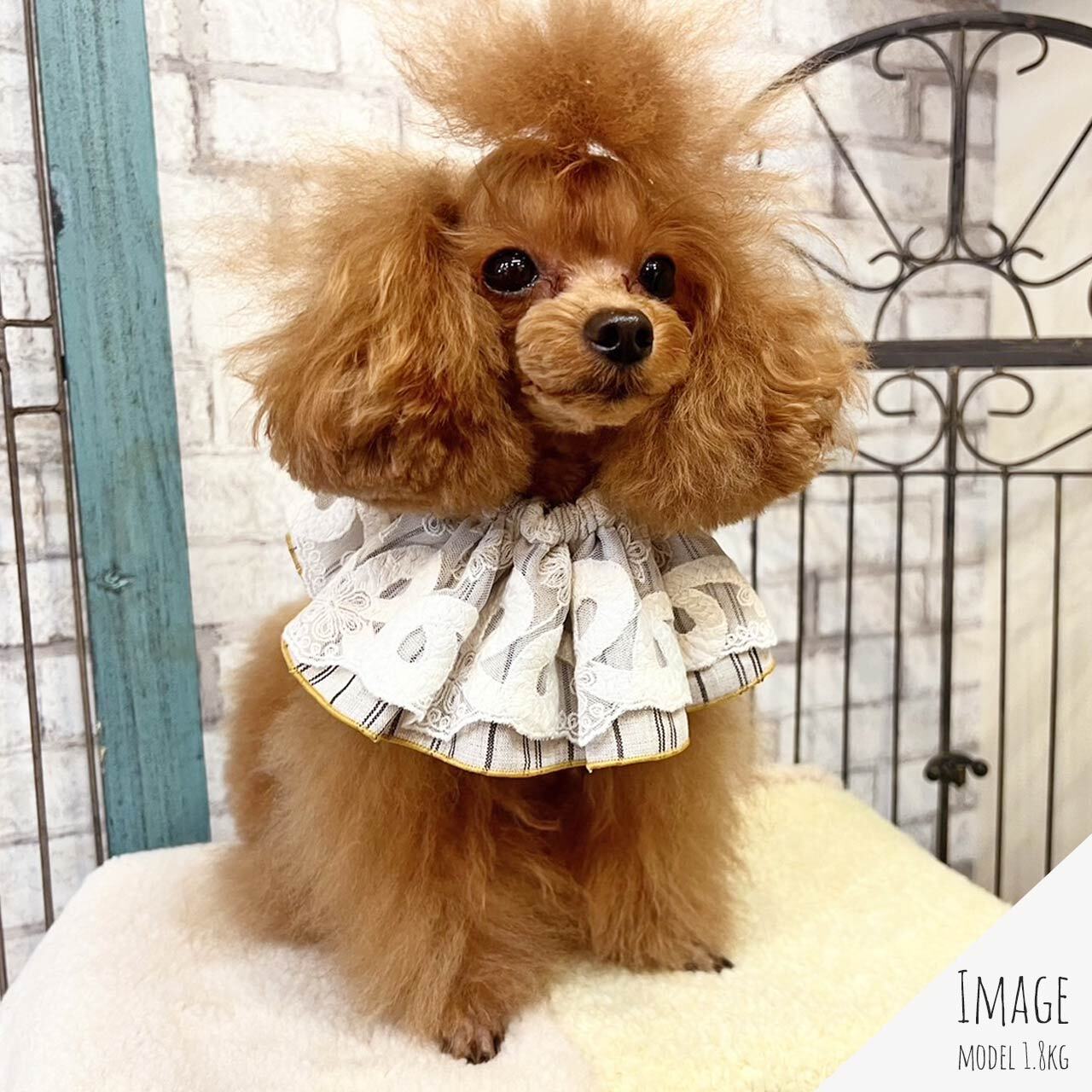 レースbib 【Way_Collection】（愛犬とお出かけ ビブ スタイ レース