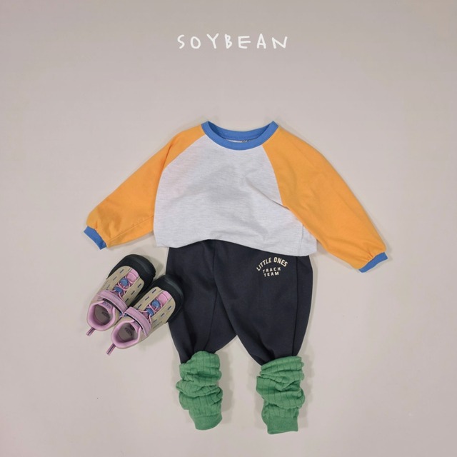 《送料無料》予約:ビンテージラグランT【soybean】※ジュニアサイズ