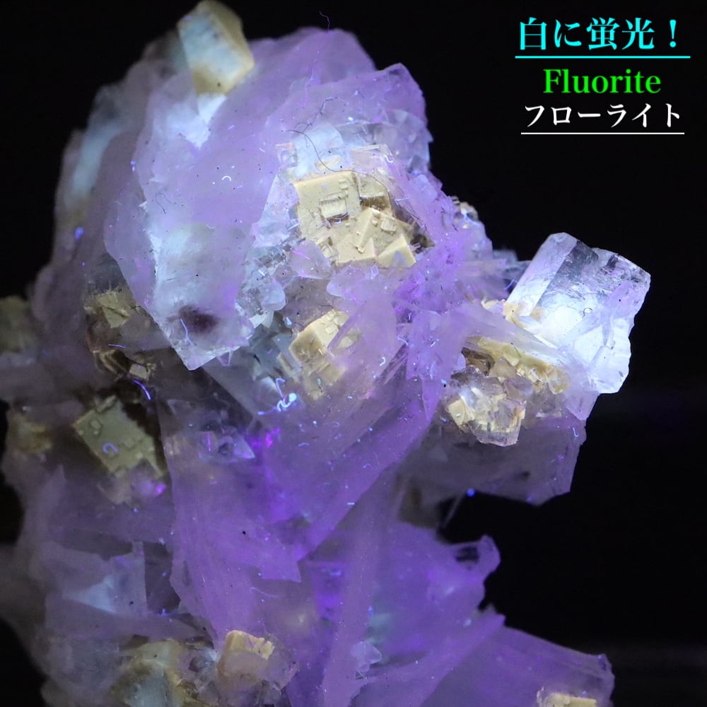ユニーク！蛍石 + セレスタイト オハイオ産 フローライト 原石 27g 