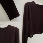 crew neck tulle sheer short tops/brown