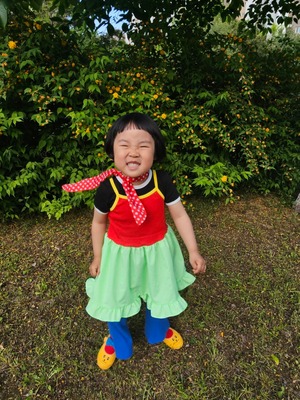 Wonder Land Layerd One-piece / RED × Green Check