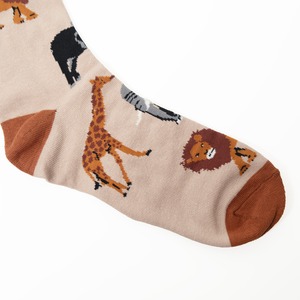 Safari socks サファリ ソックス