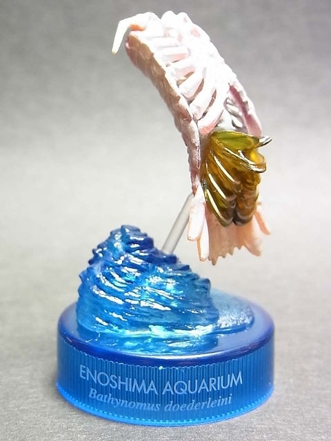 新江ノ島水族館への誘い2 07.オオグソウムシ | TOYZ-STYLE