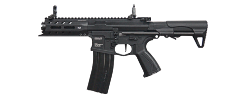 G&G ARP556 (電動ガン)
