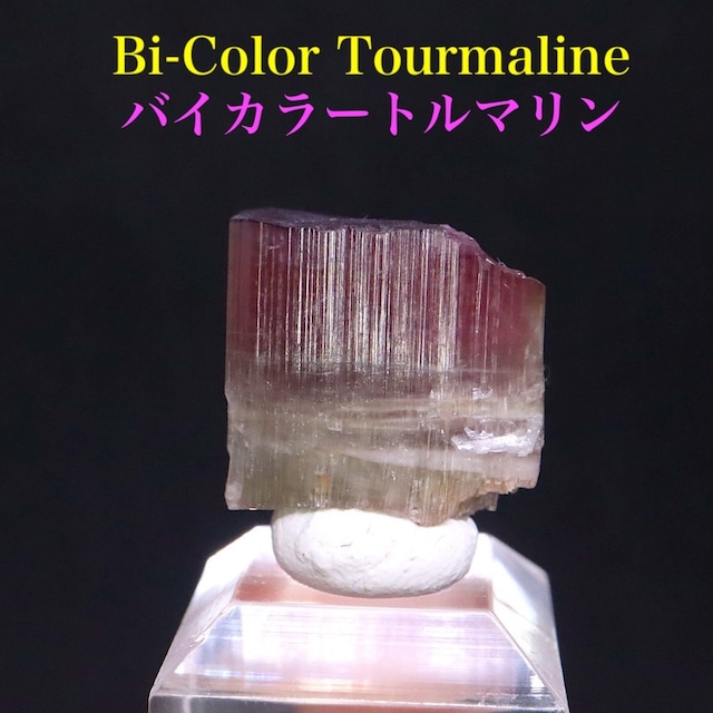 バイカラートルマリン 電気石 5.5g T766 鉱物 天然石 原石 パワーストーン