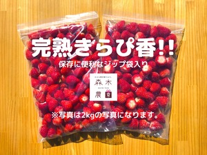 【送料込】冷凍　きらぴ香２ｋｇ☆静岡限定品種