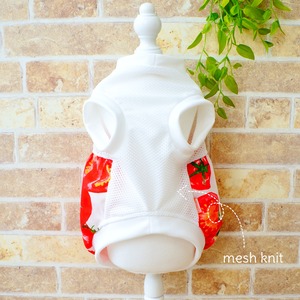 フレッシュTOMATO