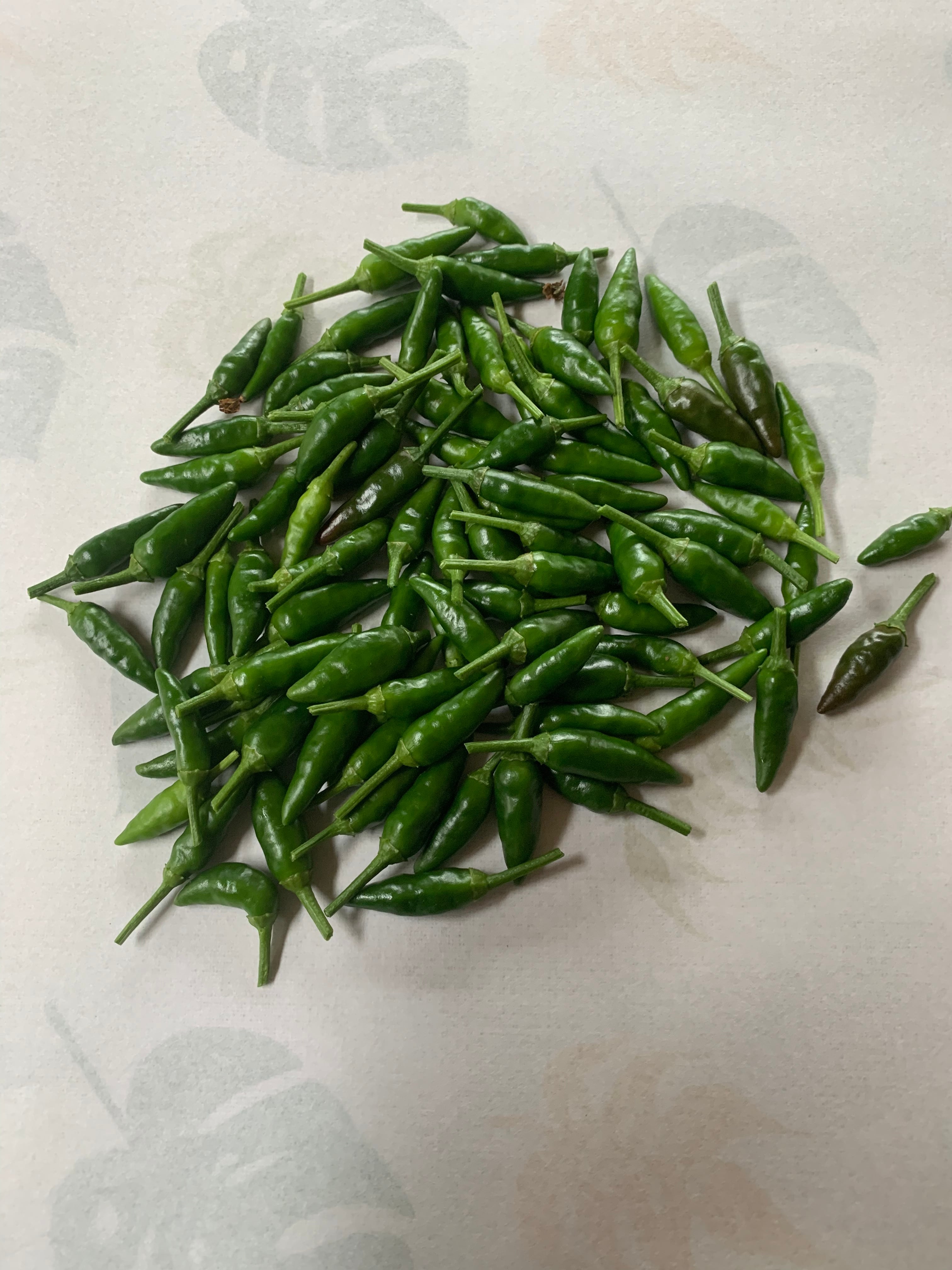 島唐辛子 | カネワ水産｜八丈島 百寶堂