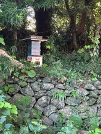 【200g】日本蜜蜂 非加熱はちみつ