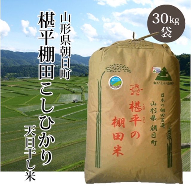 【令和5年産】山形県 「椹平(くぬぎだいら)雪若丸」【一等米】（白米／玄米 25kg）