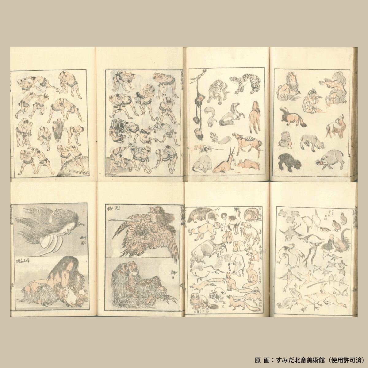 北斎漫画アロハ 703003 葛飾北斎 KATSUSHIKA HOKUSAI 送料無料 | ADP
