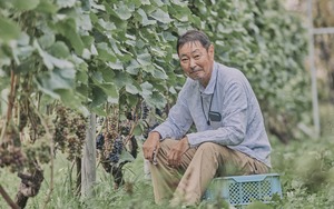 蝦夷泡　2025　余市産ナイアガラ