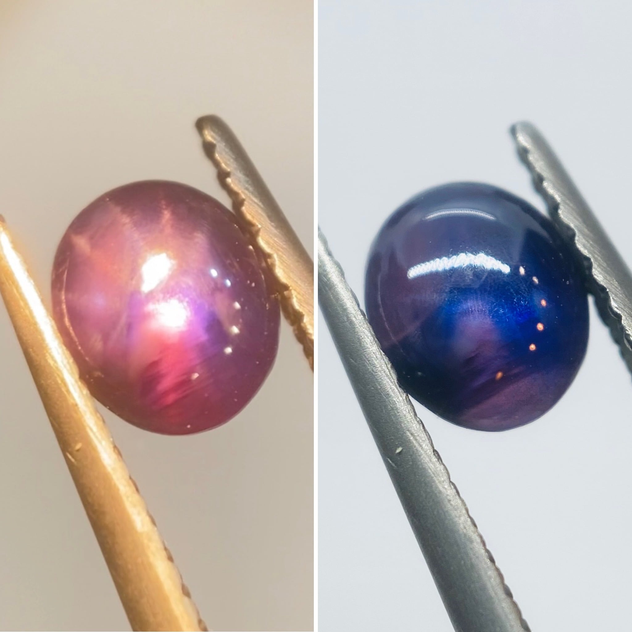 銀河 スターサファイア