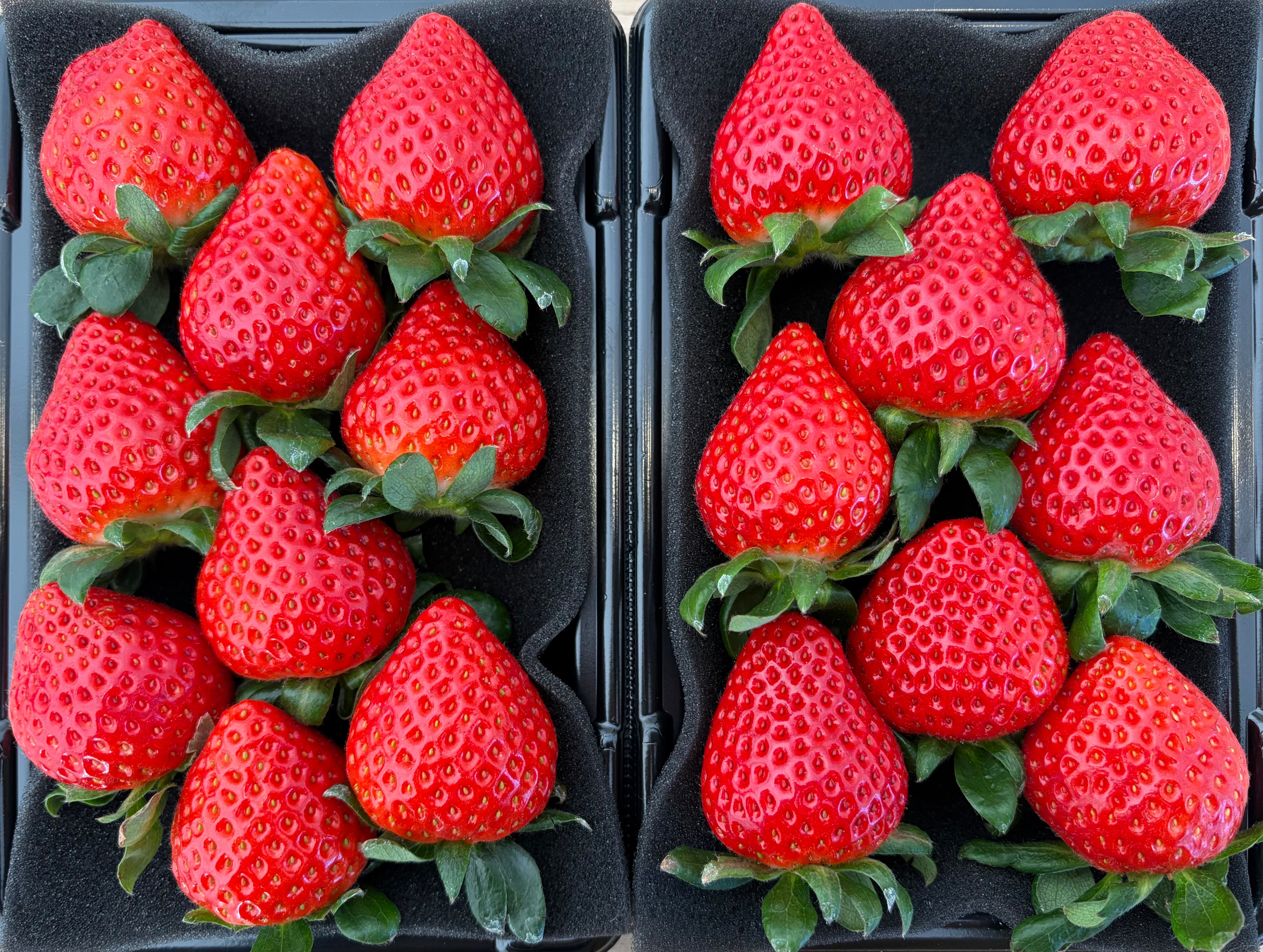 M's BERRY