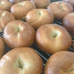 とにかくプレーンベーグル！［自家製酵母ベーグル10個セット］