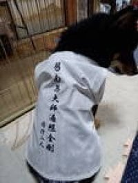 おっきいワンちゃん用 お遍路白衣三点セット 【公式通販】