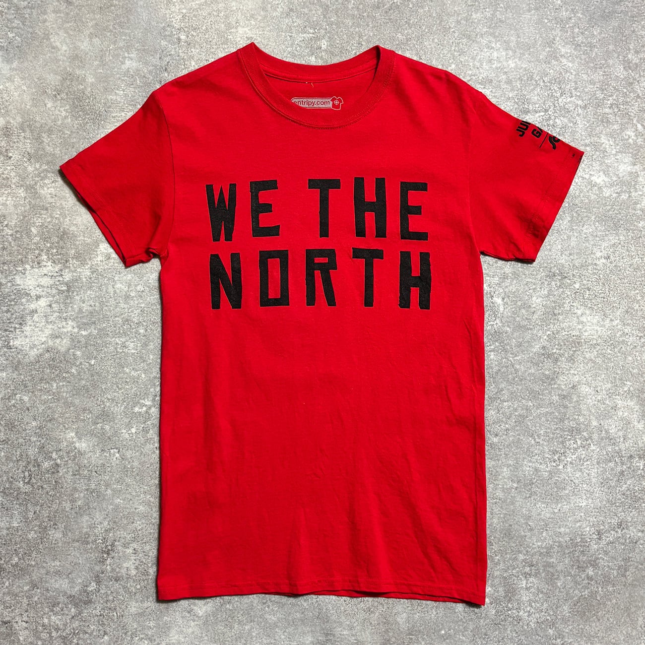 Toronto Raptors -WE THE NORTH- Printed T-Shirt. entripy | am3:41