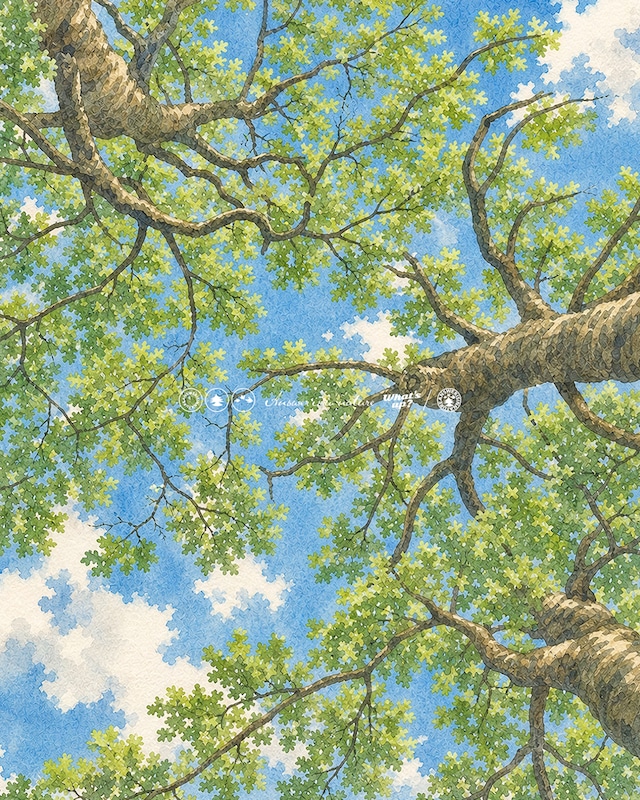 春夏の福袋2026