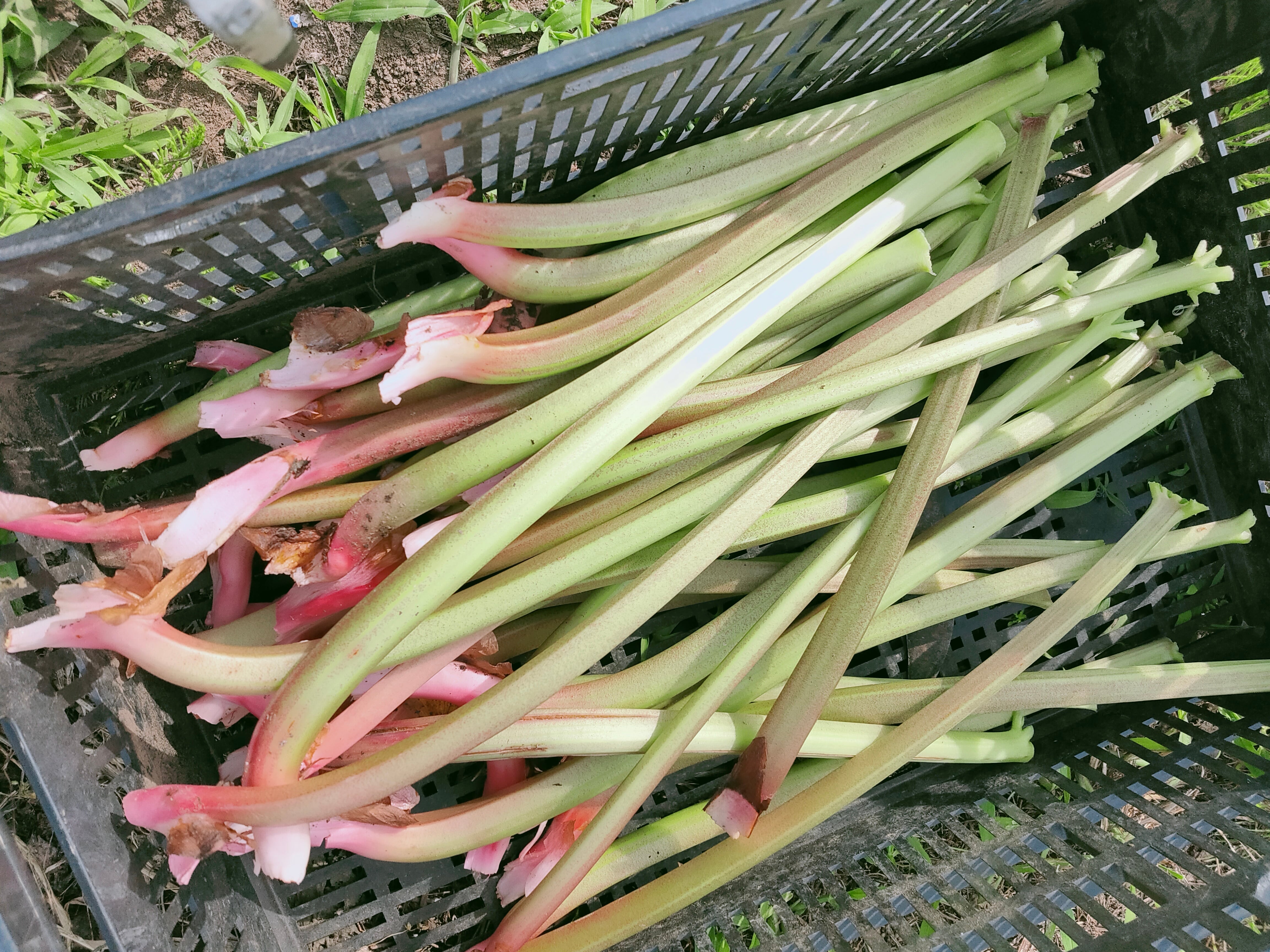 f7e840fbe0273a6c768f8fedf286a3  