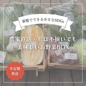 農家直送・形は不揃いでも美味しいお野菜BOX