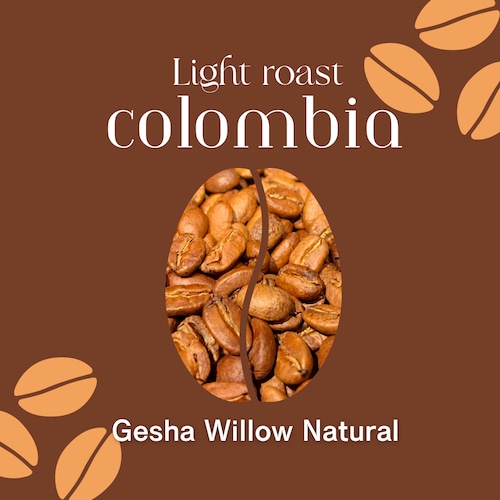 【コロンビア】Gesha Willow Natural｜Light roast-100