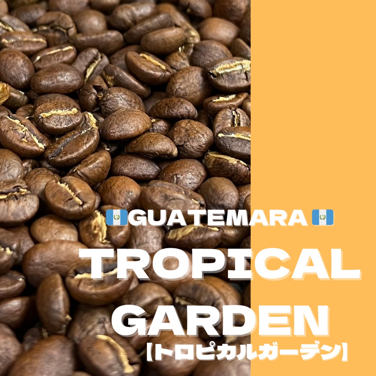 トロピカルガーデン／グアテマラ【中深煎り】100g | 熊ノ森珈琲