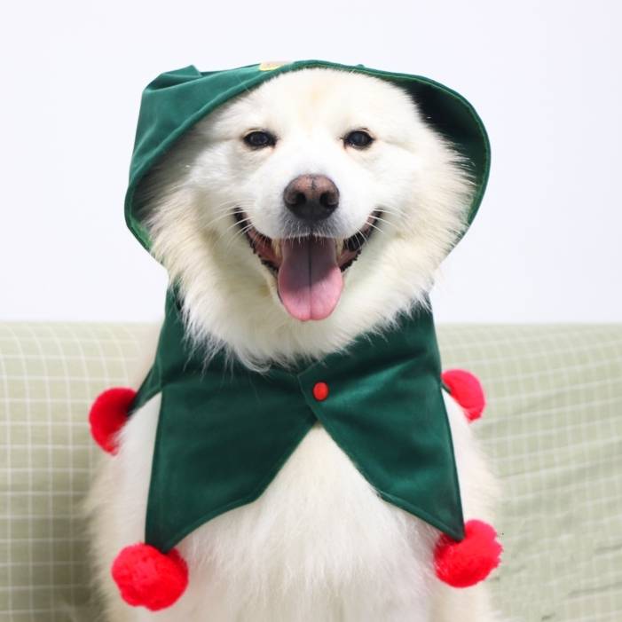 大型犬用 クリスマスのフード付き首飾り 首回り55~70cm