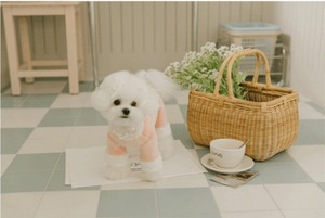 即納【pecoramou select】マリファオールインワン (ピンク)