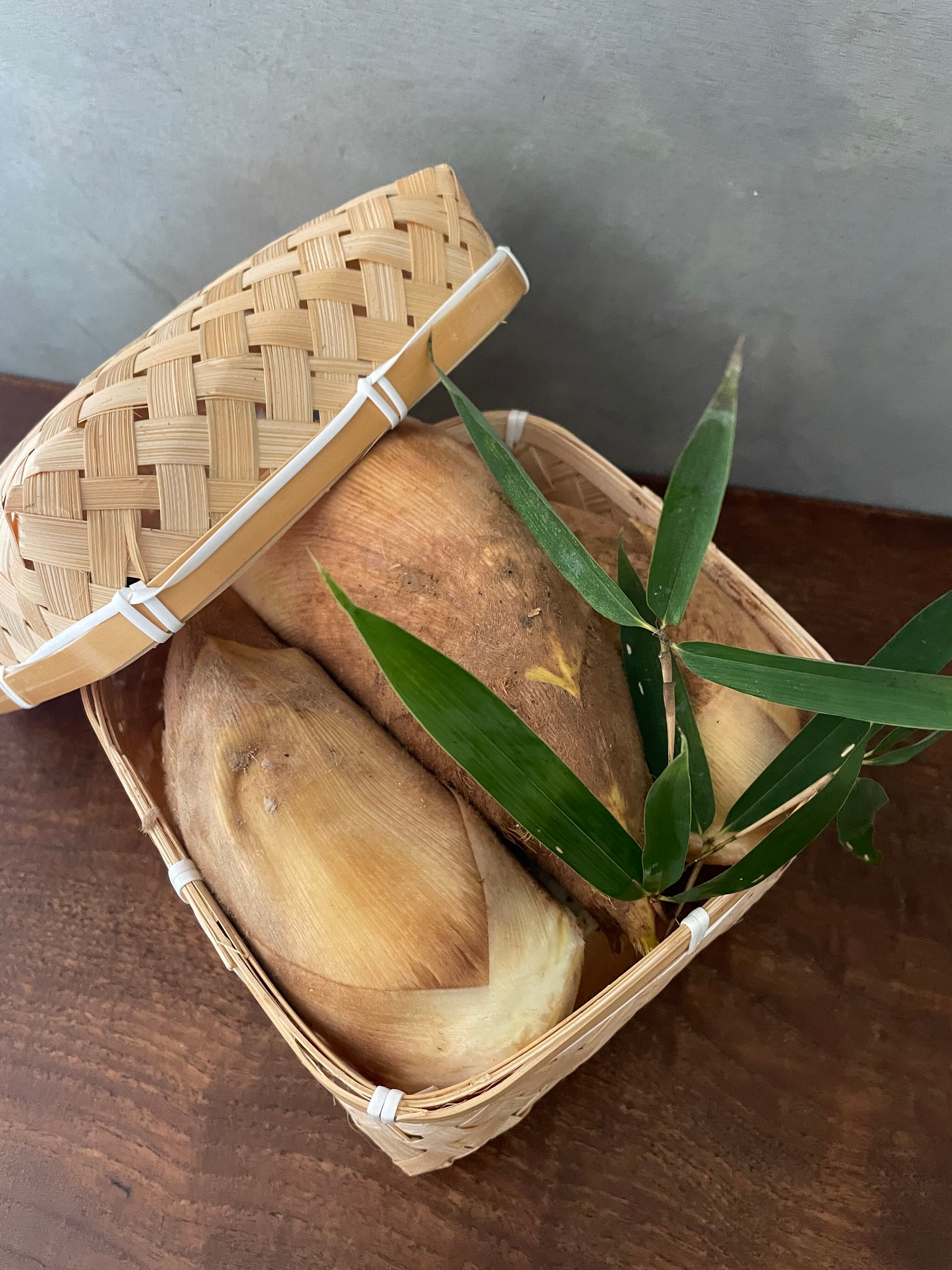 期間限定】京たけのこ竹籠（蓋付き）中小約1.5kg 日時指定不可 | 根蕈