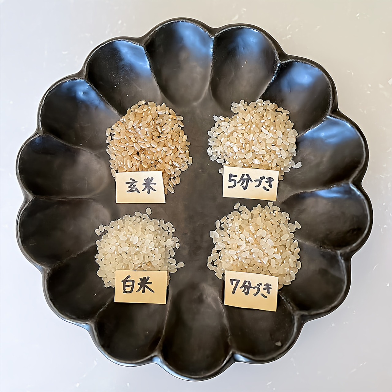 【自然栽培 熊本県天草産 もりのくまさん】KAMINO-OSUSOWAKE（5kg）（農薬・化学肥料不使用）