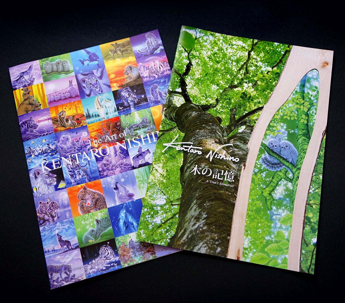 カタログ画集 | 西野健太郎アートショップ