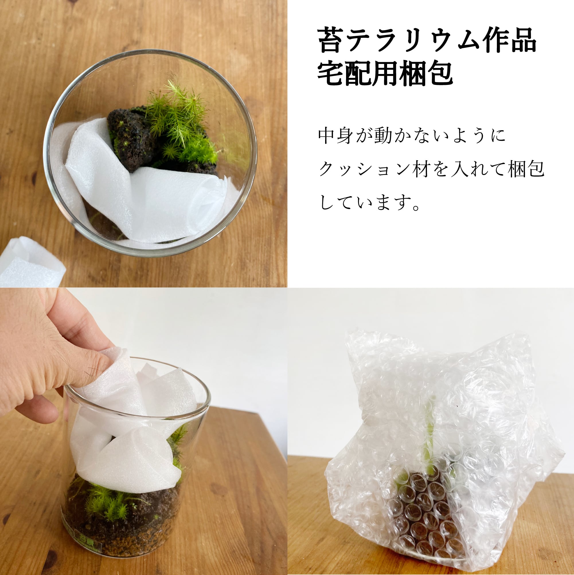 オーダー参考】 苔の下 | 苔テラリウム専門ショップ道草