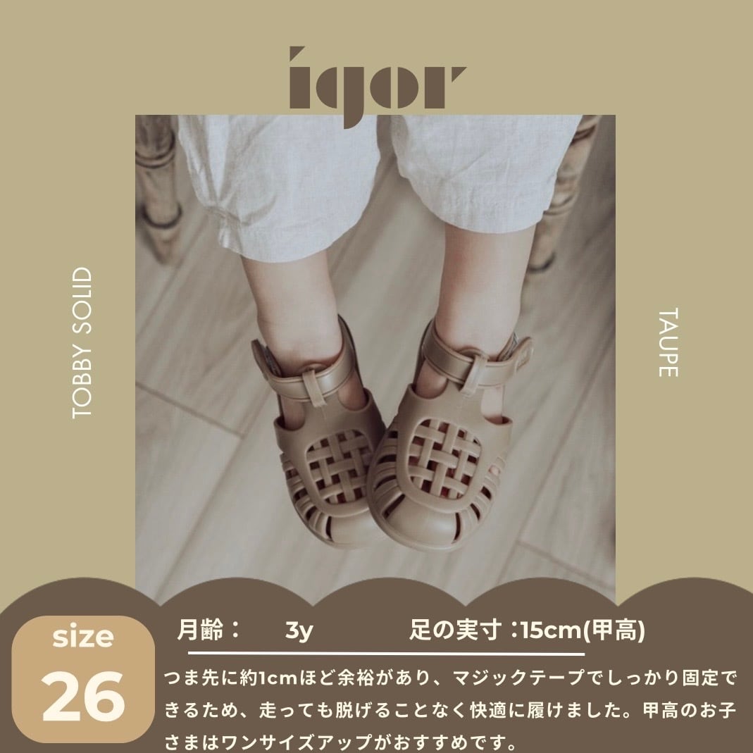 【即納/送料無料】igor / TOBBY SOLID / TAUPE