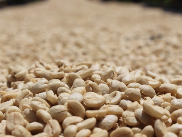 ケニア キアンワンギ AA 中深煎り 200g