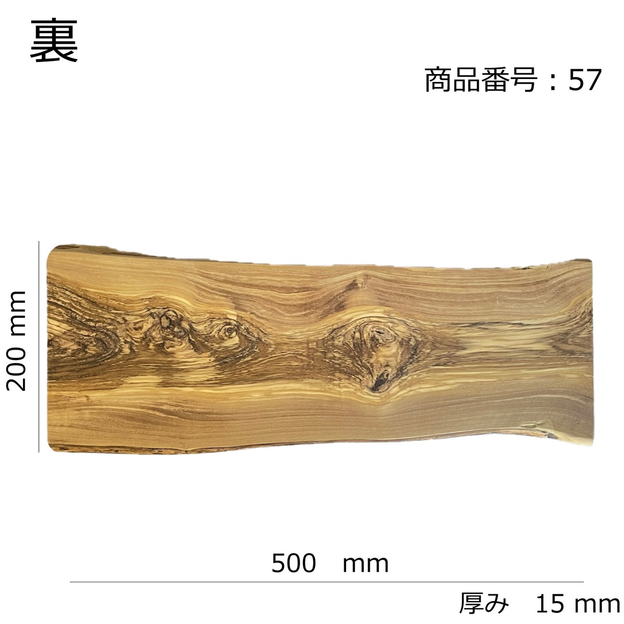 ダスホルツ　オリーブ　ラージ