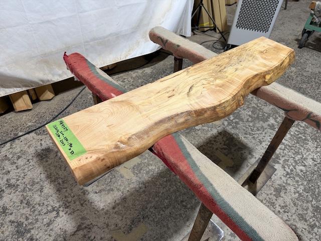 トチ9755 トチの木　一枚板無垢 乾燥材　1220x260-250x43mm テーブル　棚　テレビ台　カウンター　センターテーブル　窓台 　橡　栃