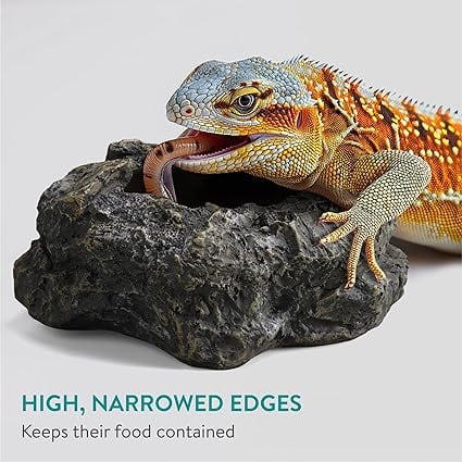 Navaris 餌入れ ミルワーム用 爬虫類用 えさ皿 - ペット 水飲み器