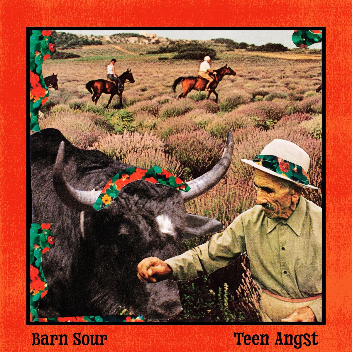 Teen Angst / Barn Sour(50 Ltd Cassette)