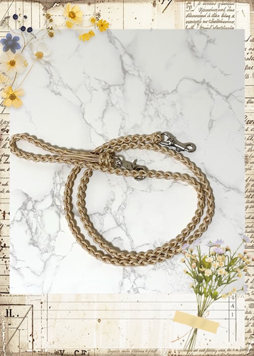 ドリームパラコード リード | with cell