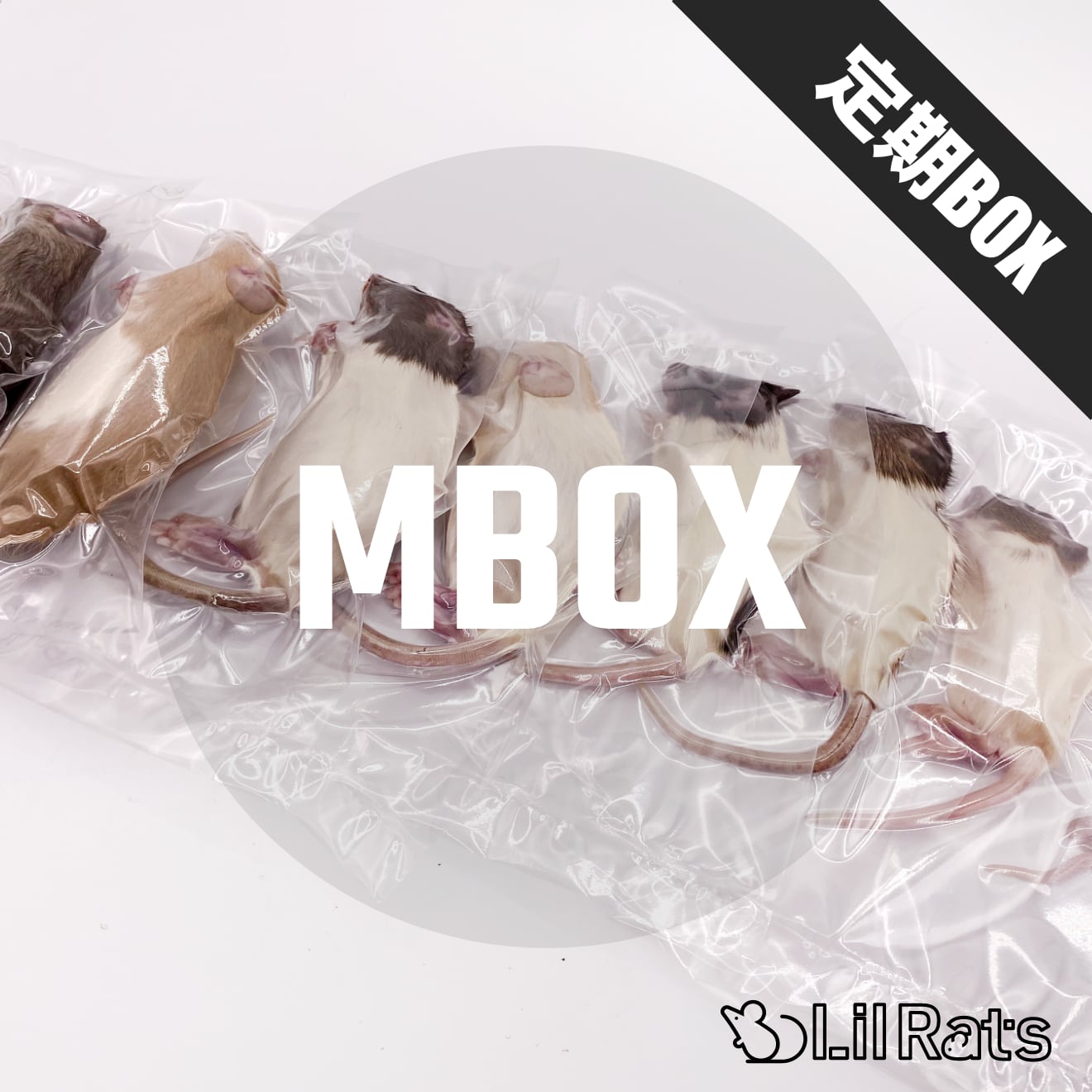 最終販売 冷凍ラット 180~250g 30匹セット 【公式通販】
