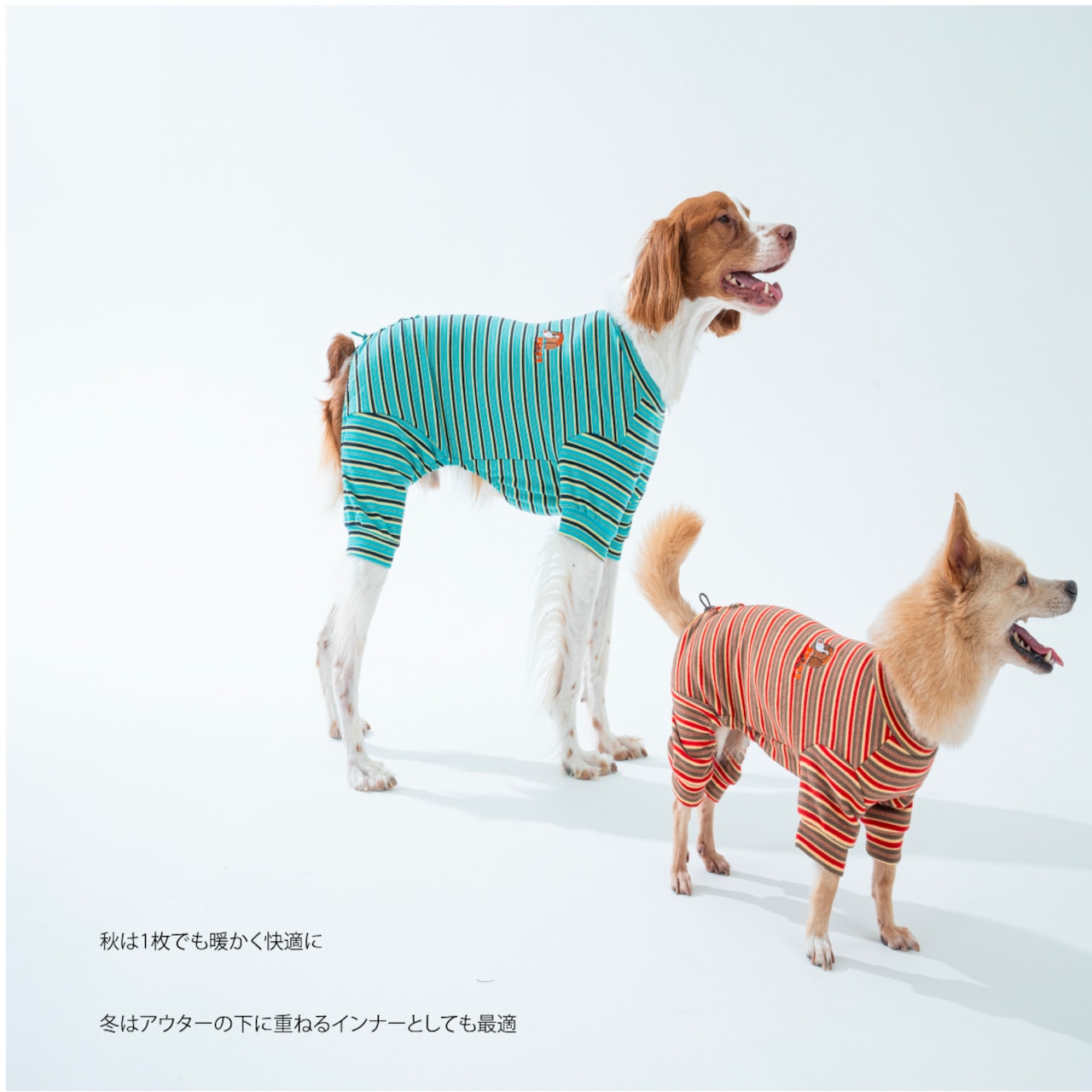 【puppygallery公式】 Homeground all-in-one M-XL