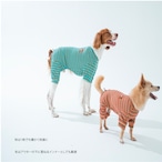 【puppygallery公式】 Homeground all-in-one M-XL