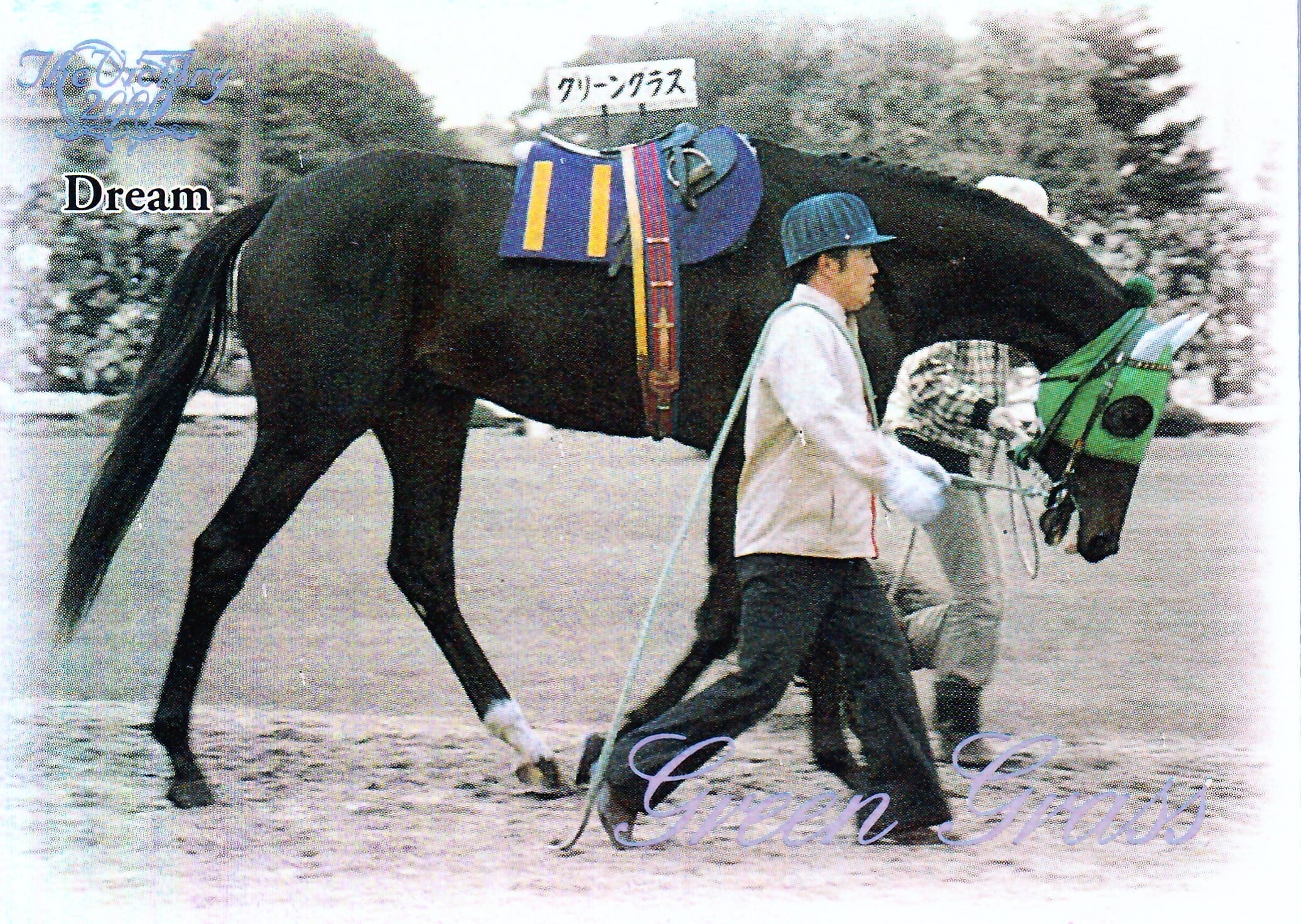 第35回有馬記念：オグリキャップ(Dream)「The Victory 2000」R-26