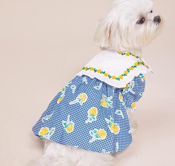 《予約》3101441 ギンガムチェックラペルワンピ